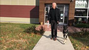 乔·拜登总统和他的救援犬专业在动物保护协会外面。＂width=