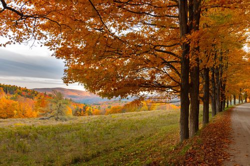 Maple-lined路在佛蒙特州在一场和山脉,树木改变秋的颜色