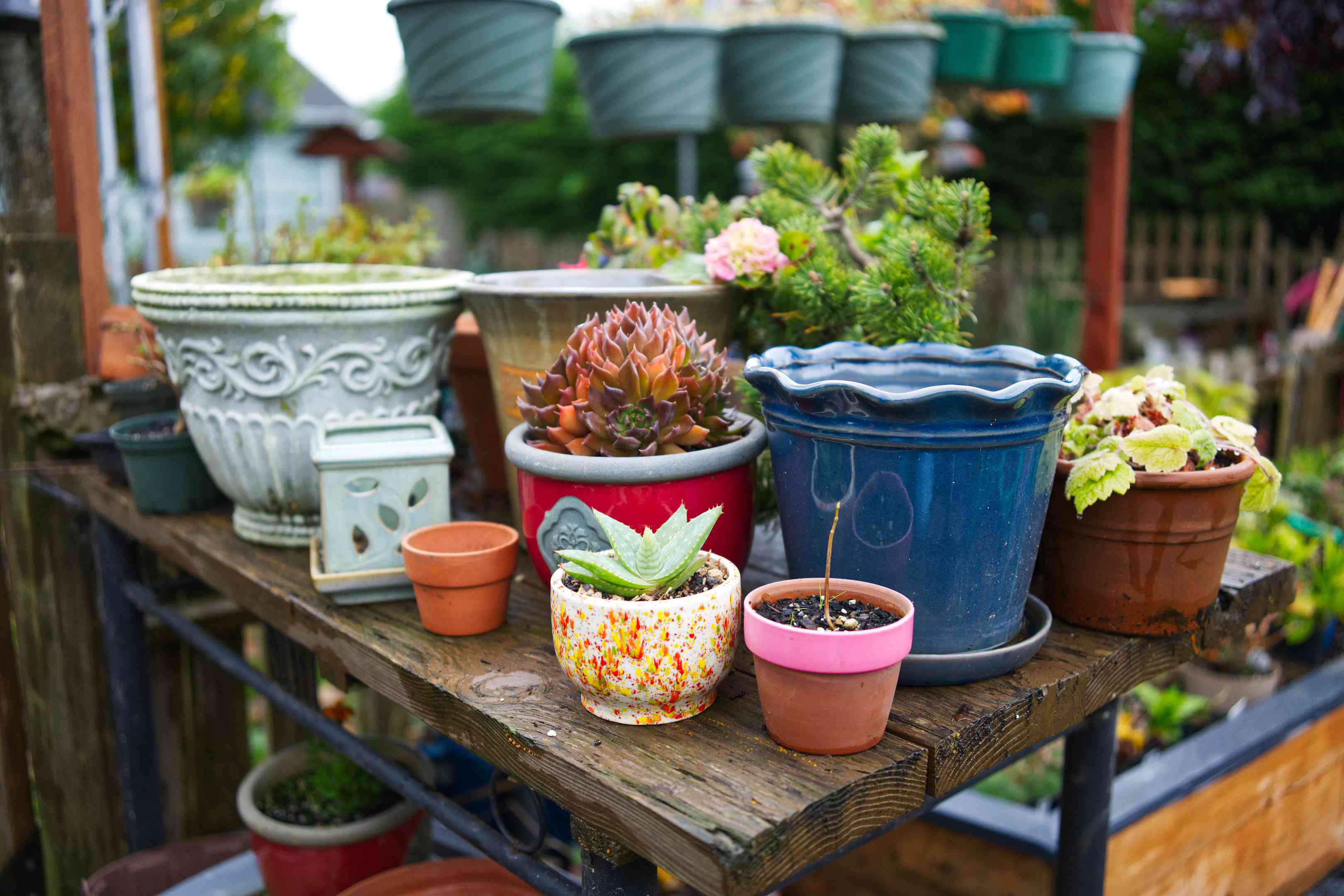 在外面的桌子上摆放各种大小、形状和颜色的植物容器