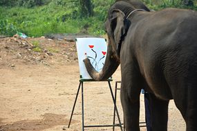 在画架上画大象