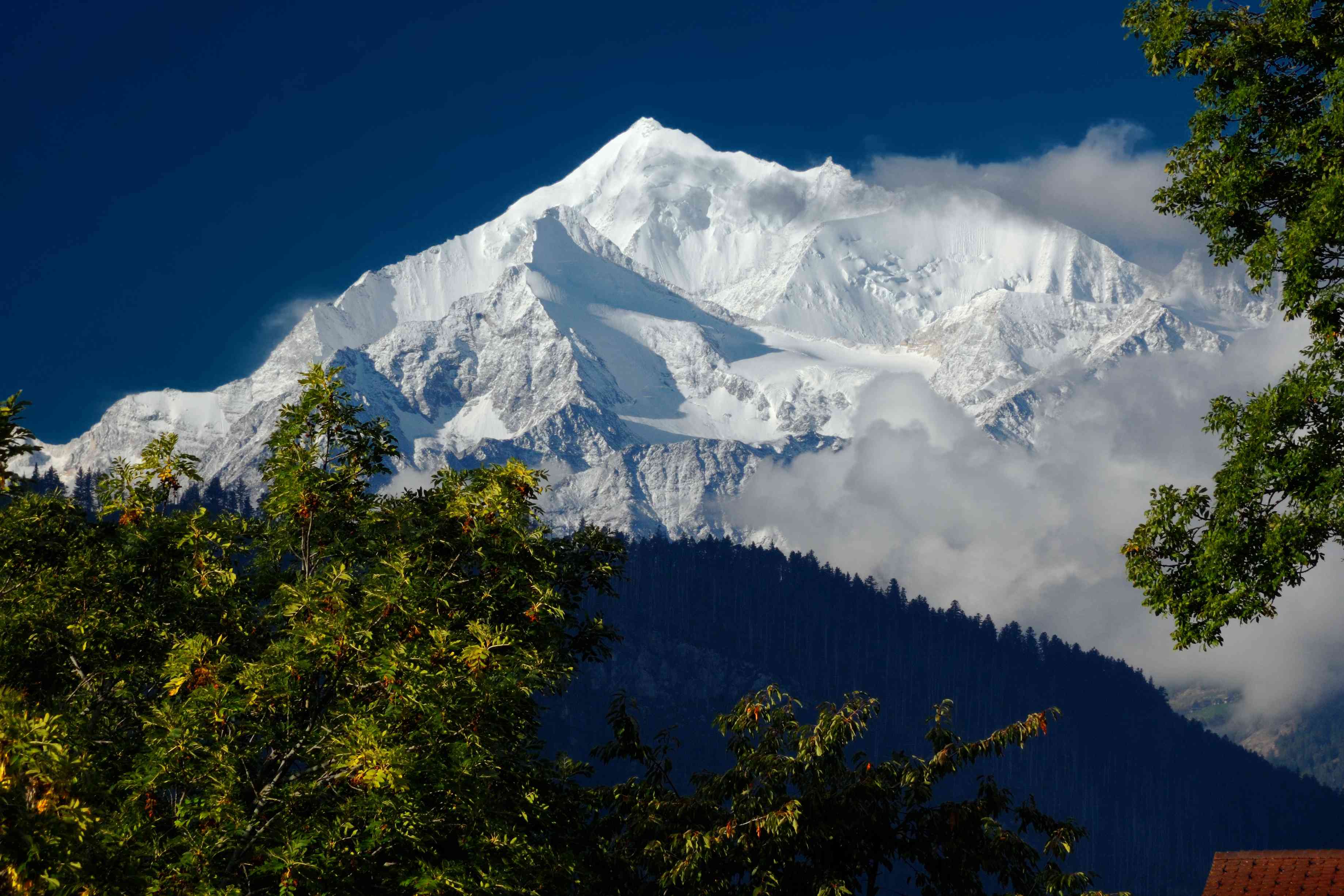 欧洲阿尔卑斯山，树木覆盖“width=