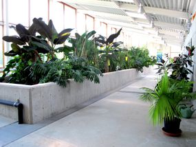 OCSL内的生态机器展示了一排植物