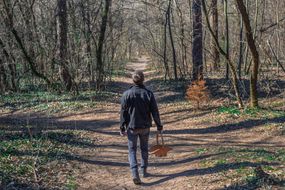 一个男人独自站在树林里的一个土路十字路口，手里提着一个篮子