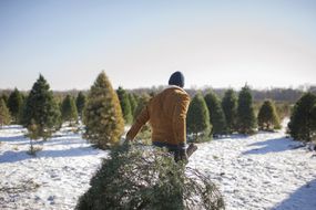 男人带着圣诞树在冰雪覆盖的农场与天空