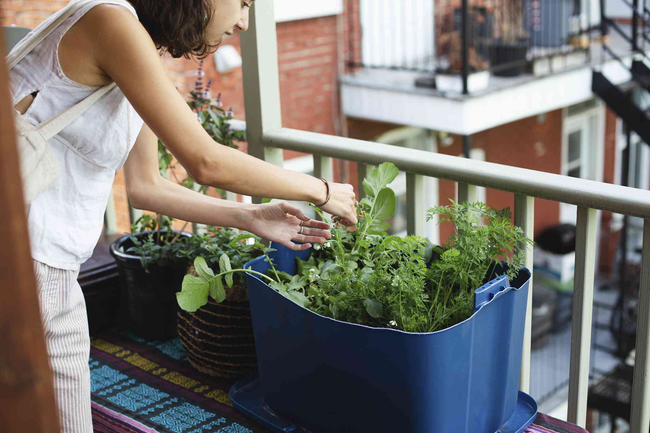 一名妇女在阳台上用容器种蔬菜。