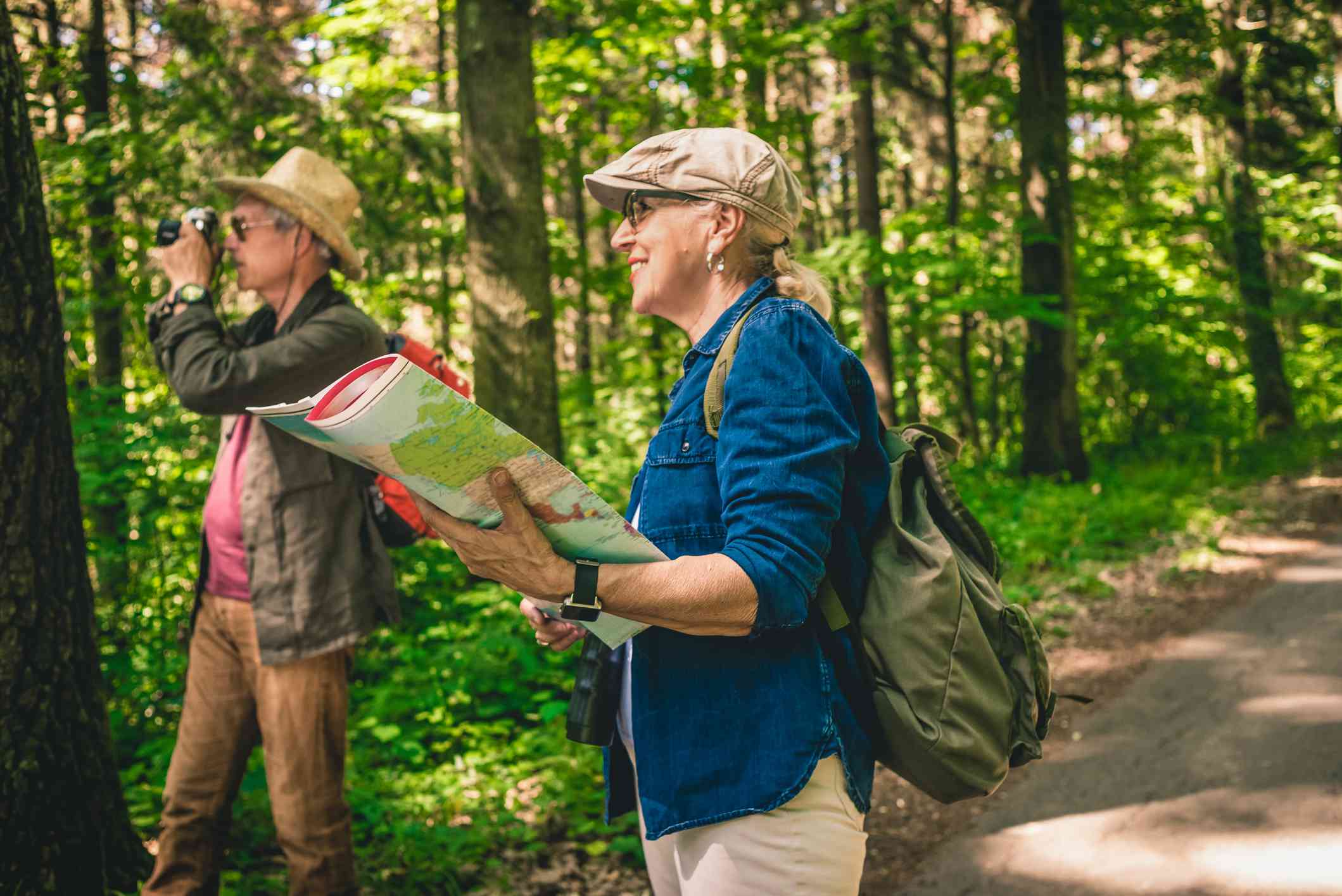 年长的高级夫妇使用现场指南书来识别森林中的树木