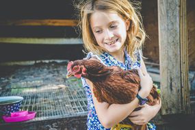 小女孩抓着一只鸡