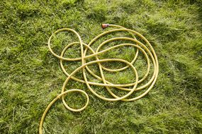 在草坪上黄色的橡胶软管