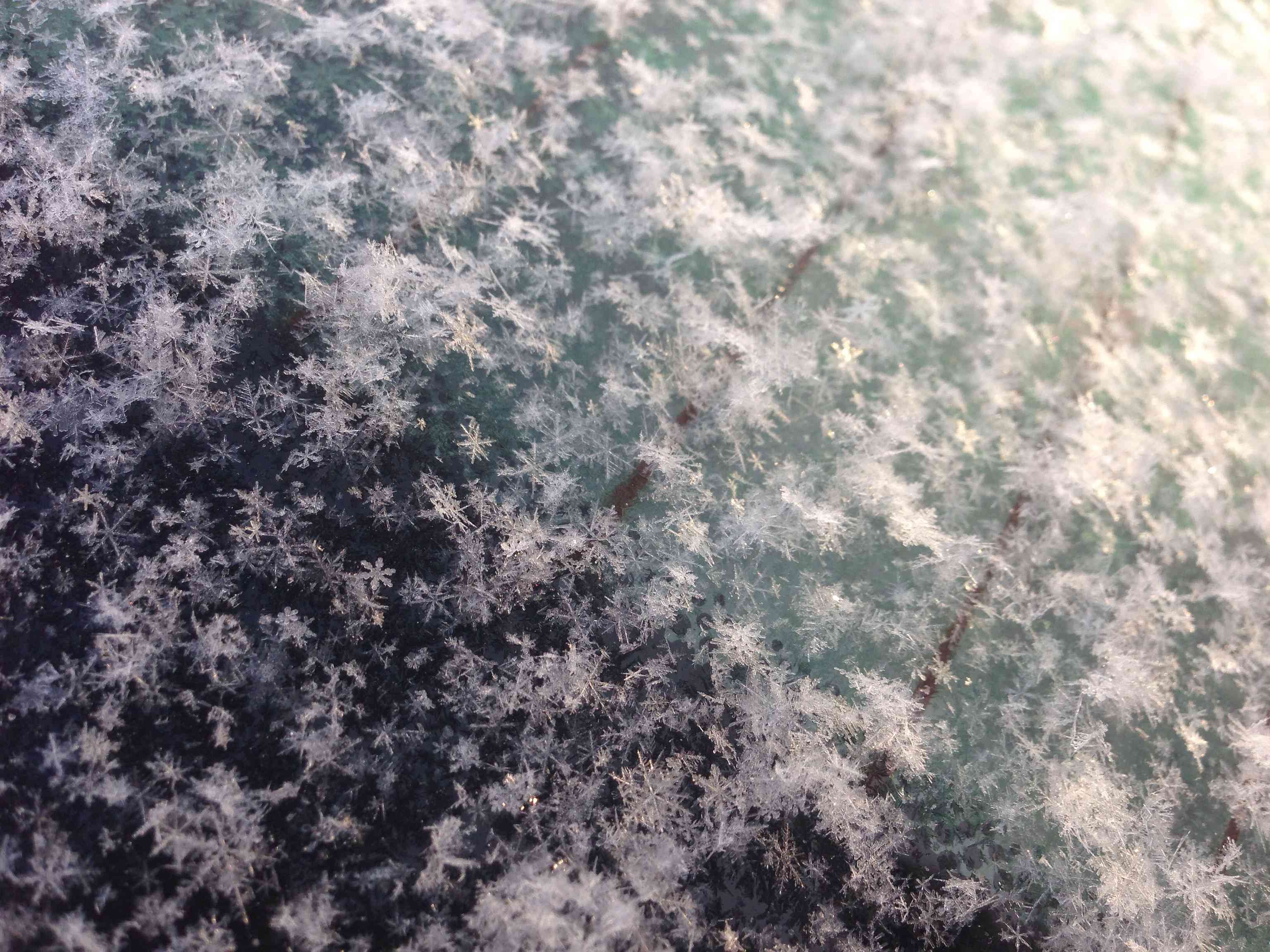 snowflakes on a back window