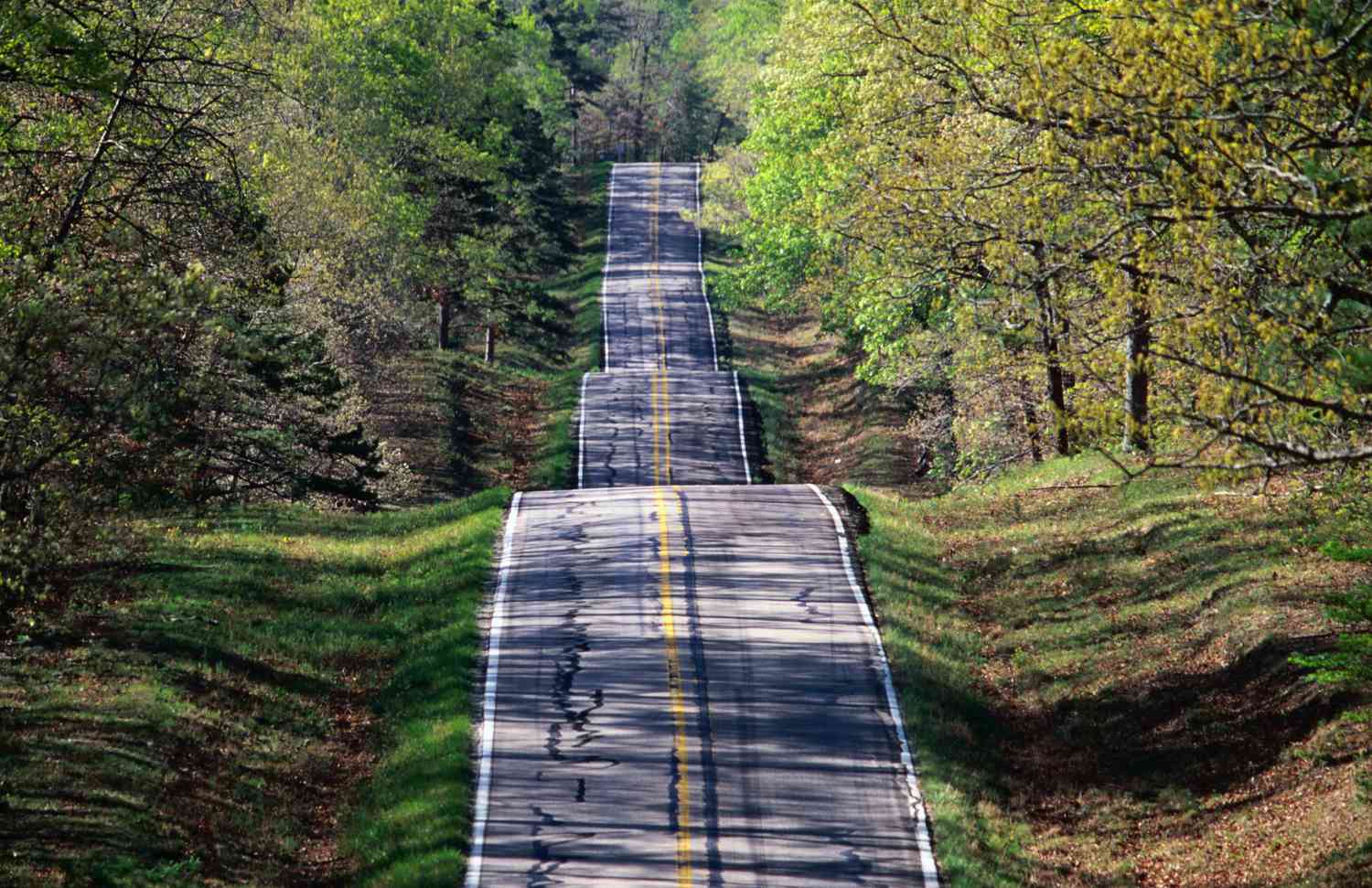 19号公路穿过密苏里州的马克吐温国家森林