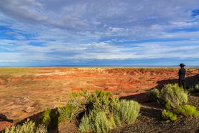 成熟的男性游客站在石化林对蓝色多云的天空,国家公园,美国亚利桑那州”width=