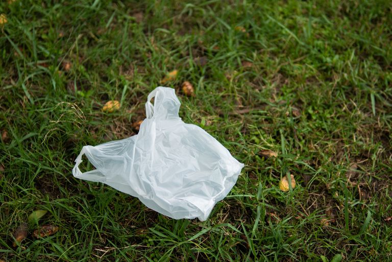 草地上有一个白色塑料袋＂class=