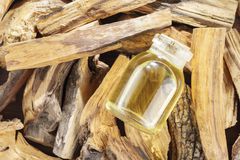 palo santo oil，俯视图- Bursera graveolens