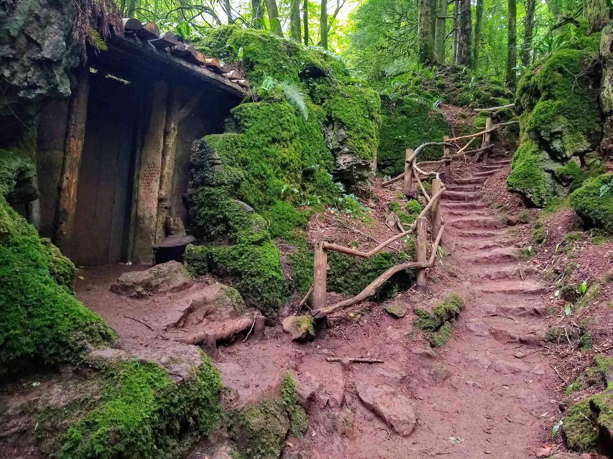绿色森林中的小木屋和石阶