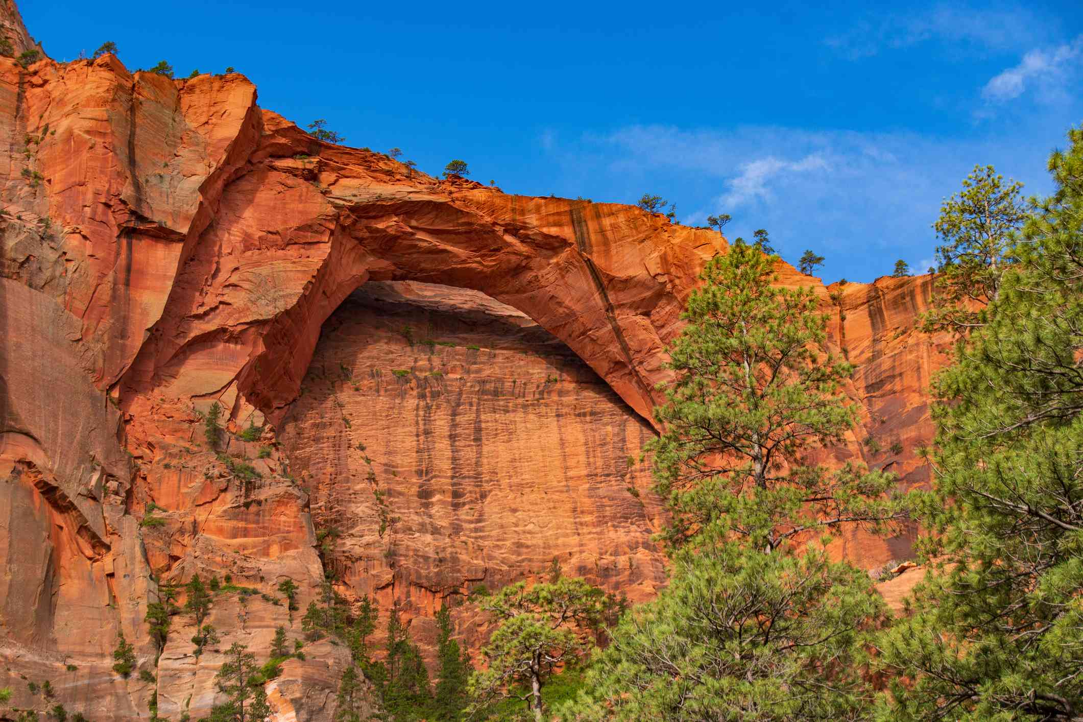 Kolob Canyon，锡安国家公园，犹他州“width=