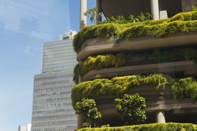 新加坡的高层建筑，覆盖着郁郁葱葱的垂直花园