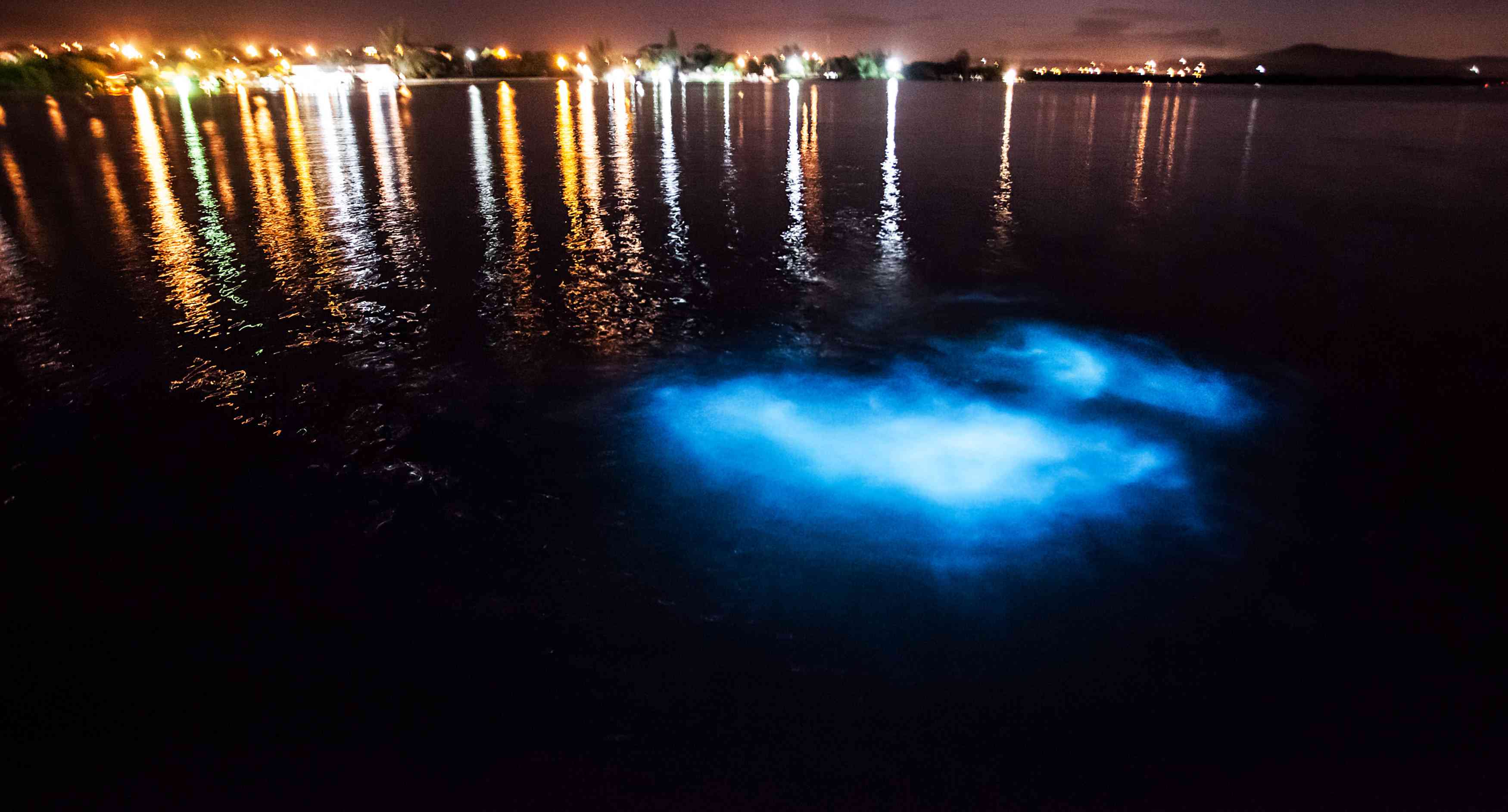 夜间牙买加发光泻湖，在前景中显示生物发光，背景中的城市灯光“width=