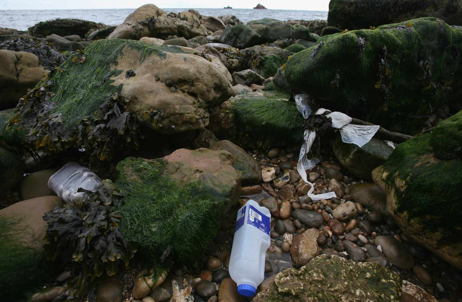 废弃塑料，2008年，英国布兰斯库姆