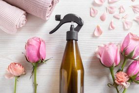 平铺新鲜的粉红色玫瑰和花瓣，可重复使用的棕色玻璃瓶喷雾
