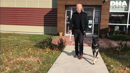 乔·拜登总统和他的救援犬少校在人道协会外。