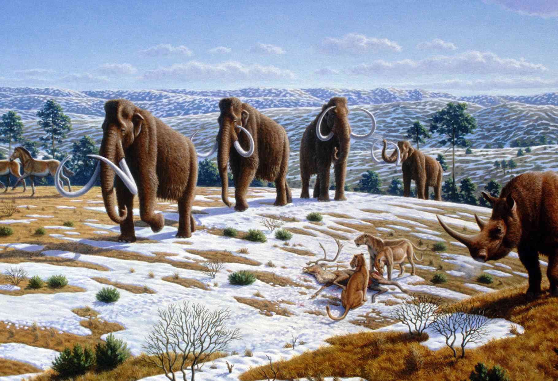 这幅画描绘了四只长毛猛犸象在草原上行走，旁边有马，狮子在吃一只像鹿一样的动物，一头犀牛在旁边看着＂width=