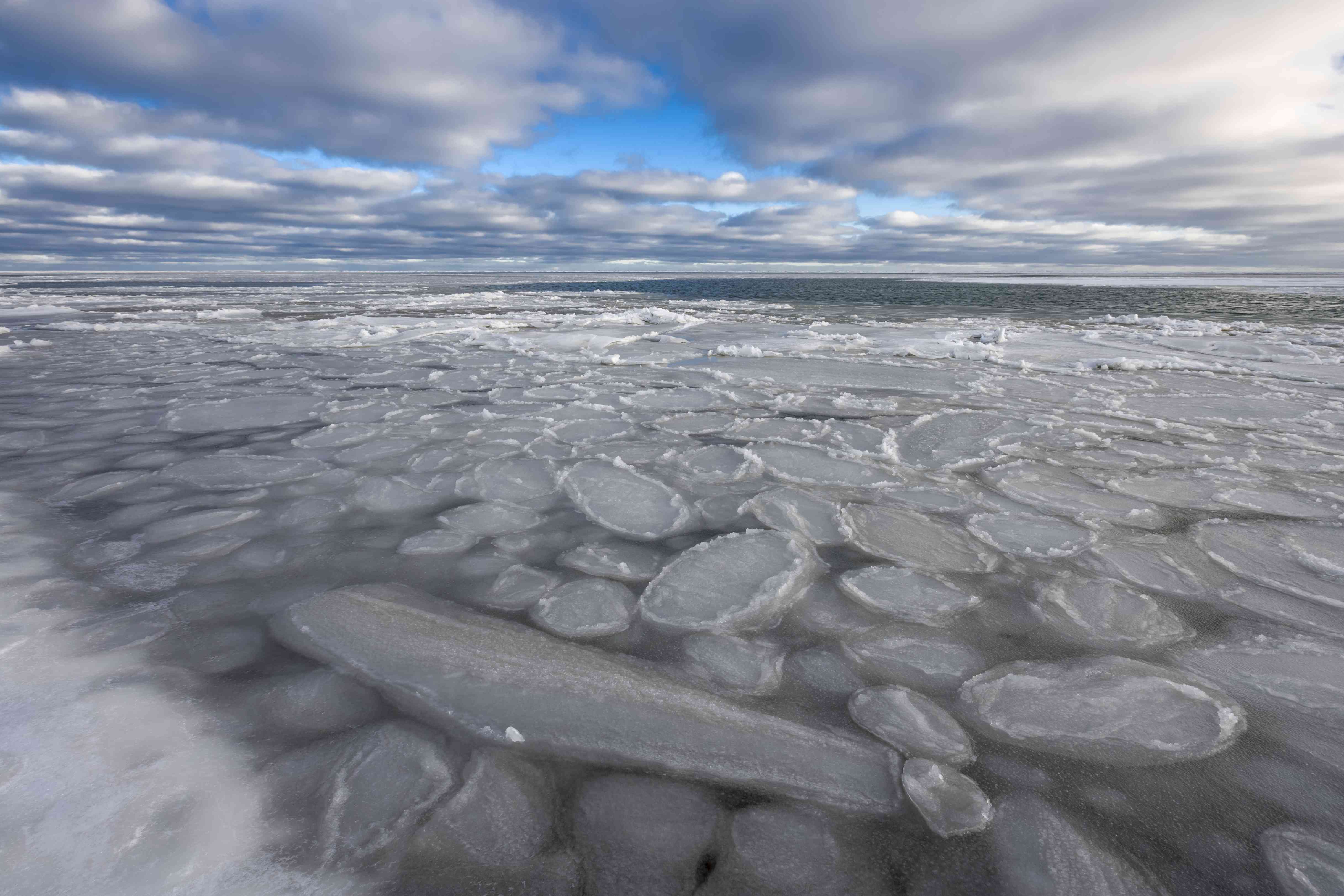 荷叶冰形式在波弗特海