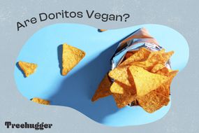 是Doritos纯素食照片Illo