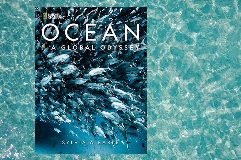 书的封面，展示了一群鱼在插图海洋背景