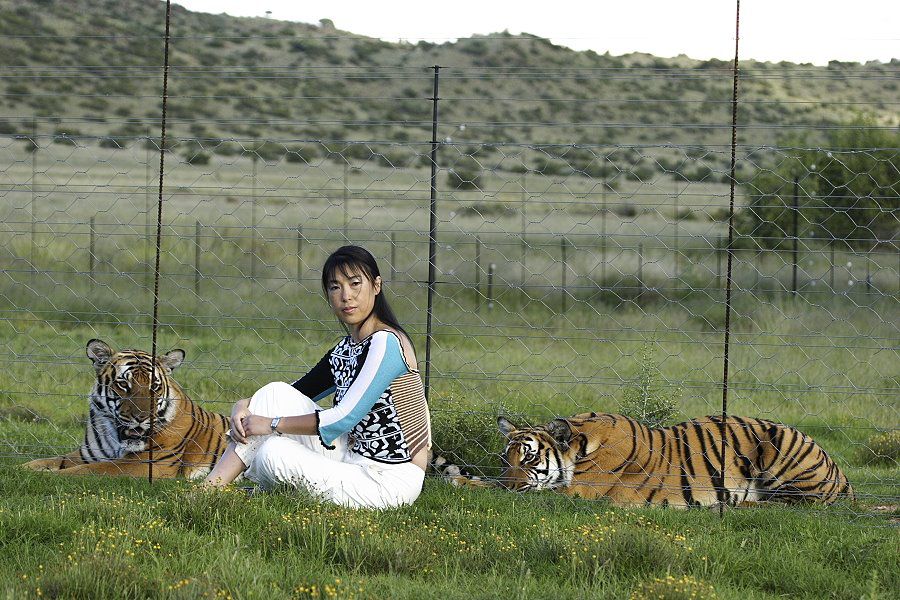 李泉和两只老虎坐在草地上＂width=