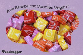 插图与彩色星爆糖果，文字＂Are Starburst Candies Vegan?