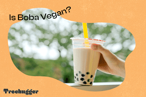 手持牛奶茶与Boba Pearls纯素食插图