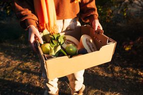 一个人拿着一箱从郁郁葱葱的花园里采摘的秋天农产品