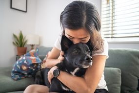 Young woman hugging dog and on living room sofa