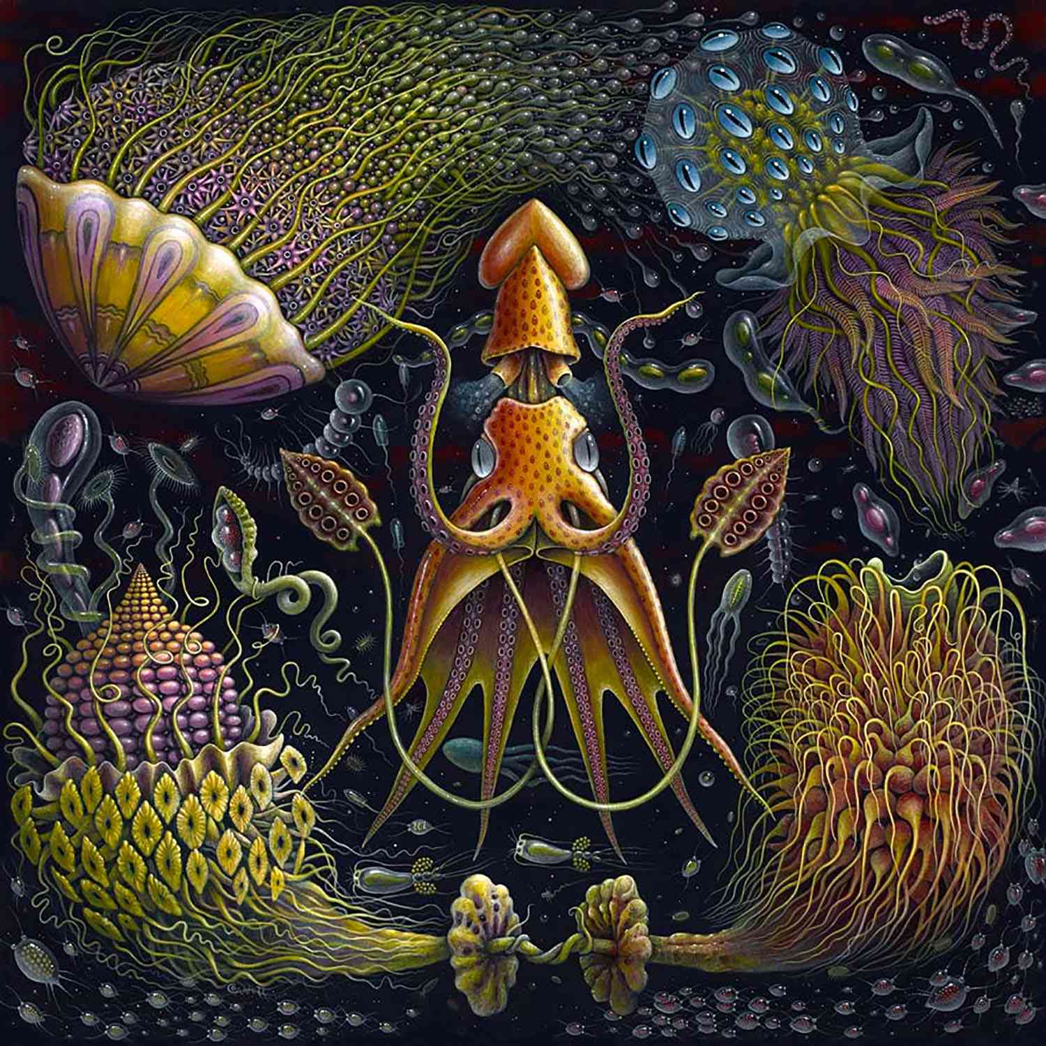 奇幻的海洋生物绘画罗伯特·史蒂文·康妮特（Robert Steven Connett）