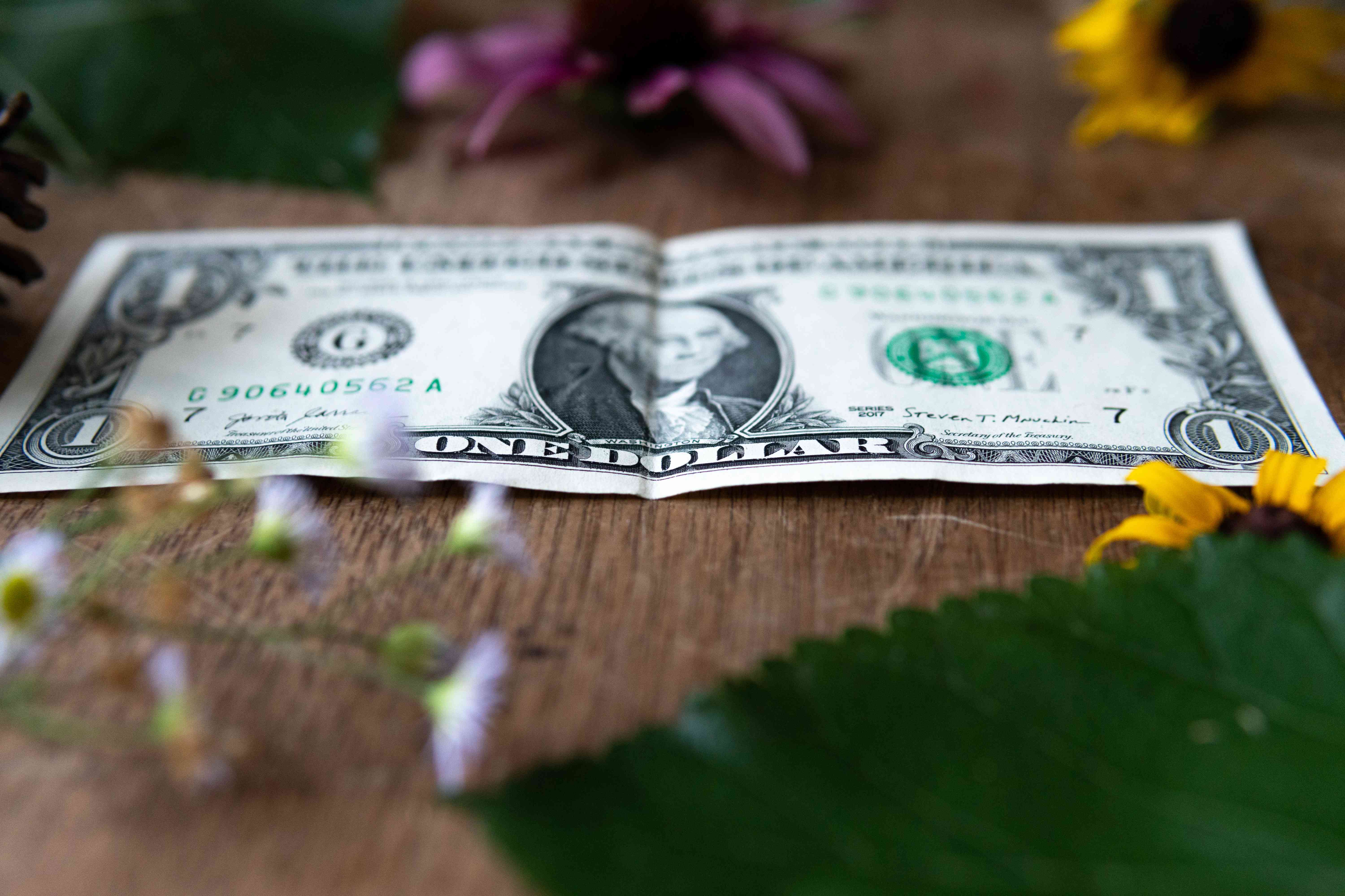木桌上放着一美元钞票，周围有植物和鲜花