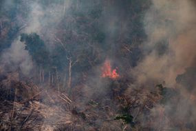 在这张航拍图像中，2019年8月25日，在巴西韦柳港附近的坎代亚斯多贾马里地区，一场大火在亚马逊雨林的一部分燃烧。