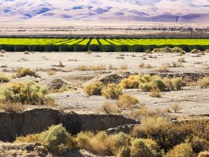 灌溉的加利福尼亚农场与干燥的沙漠形成对比
