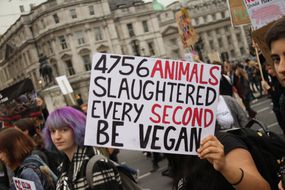 动物权利抗议者在伦敦游行＂width=