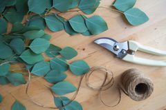 干桉树叶，麻线和修剪的剪切剪切以制成DIY淋浴捆