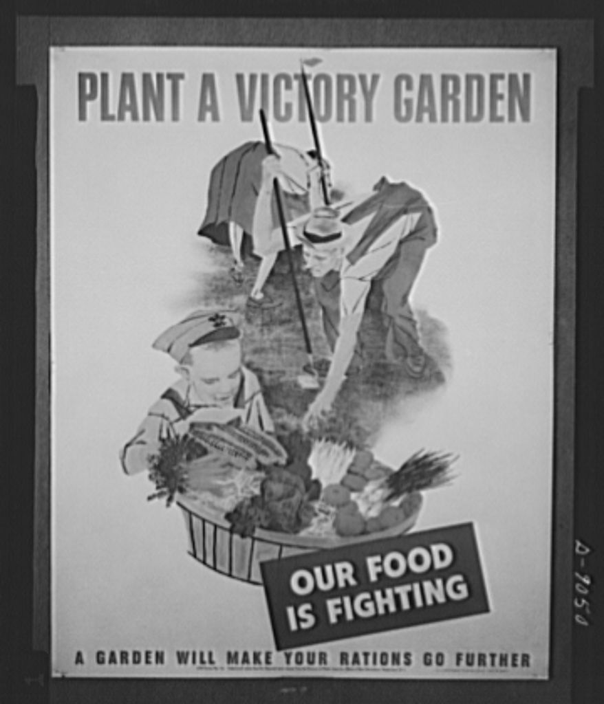 第二次世界大战期间的胜利花园