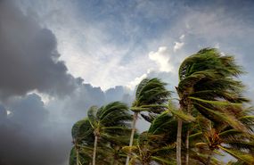 热带气旋的天空和棕榈树在风中＂width=