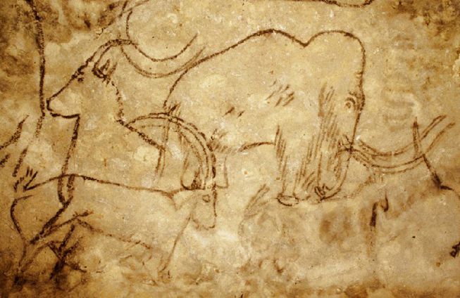 一头猛犸象被描绘在法国鲁菲尼亚克洞穴的墙壁上。