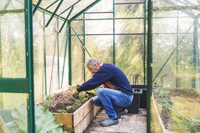Man working in his greenhouse