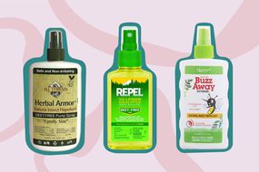 Best Natural Insect Repellents