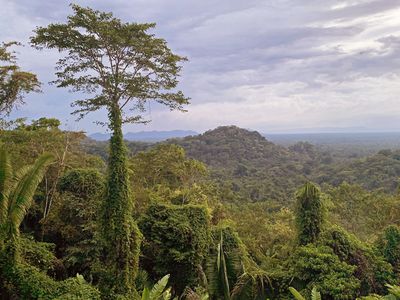 俯瞰玛雅黄金景观的雨林和伯利兹南部的山脉