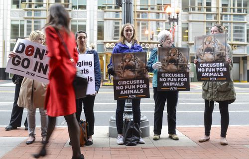 善待动物组织抗议林林兄弟在华盛顿的最后表演