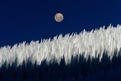 智利，Coquimbo地区，Paso del Agua Negra，Nieve Penitente