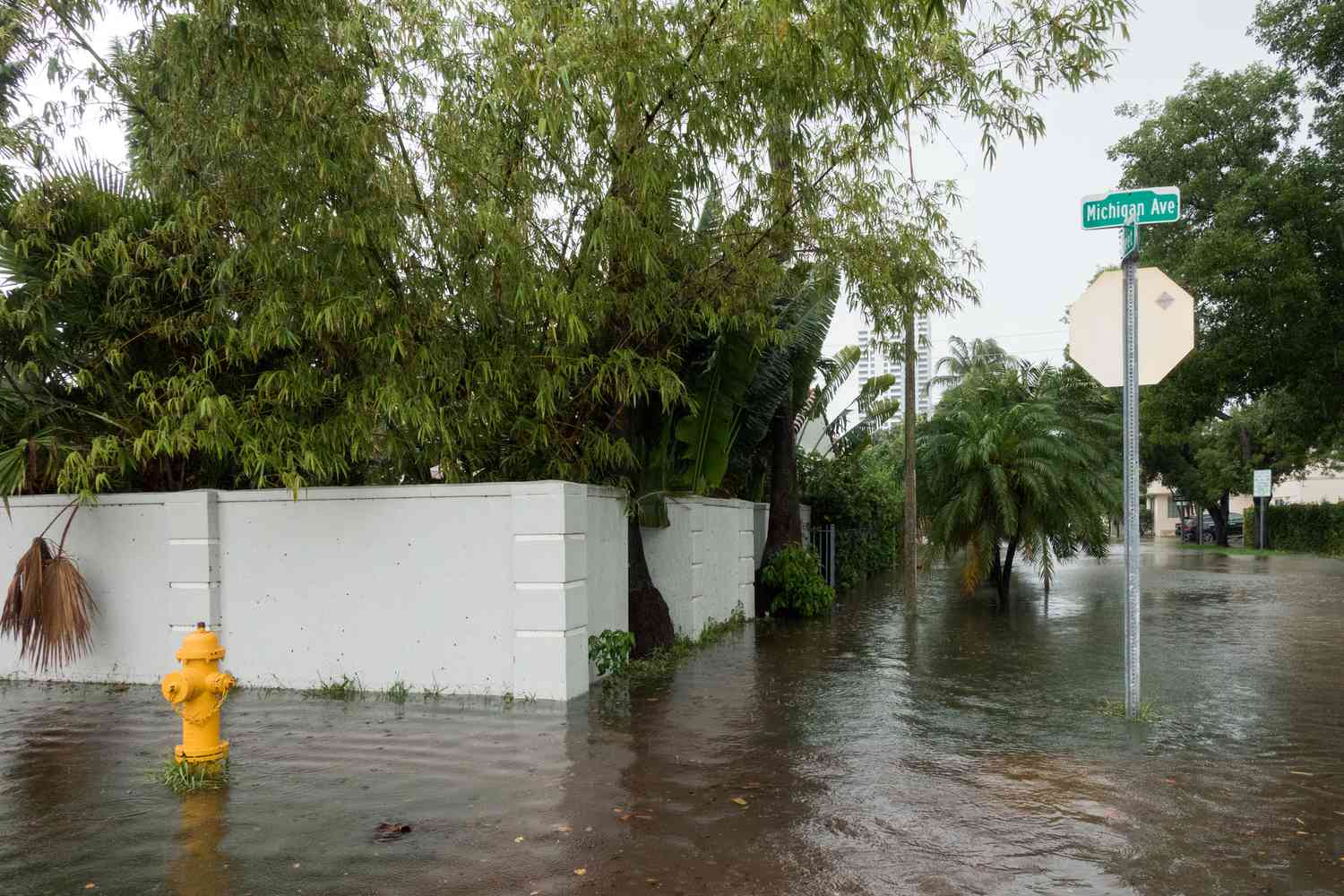 在迈阿密街头暴雨淹没了。”>
          </noscript>
         </div>
        </div>
        <figcaption id=