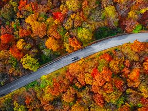 五彩缤纷的秋林中蜿蜒的山路鸟瞰