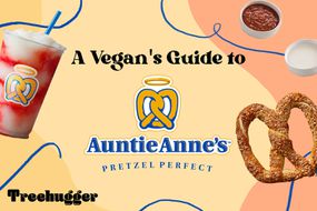 Auntie Anne的素食主义者指南。Illo包括Slushie，Pretzel和Dips。
